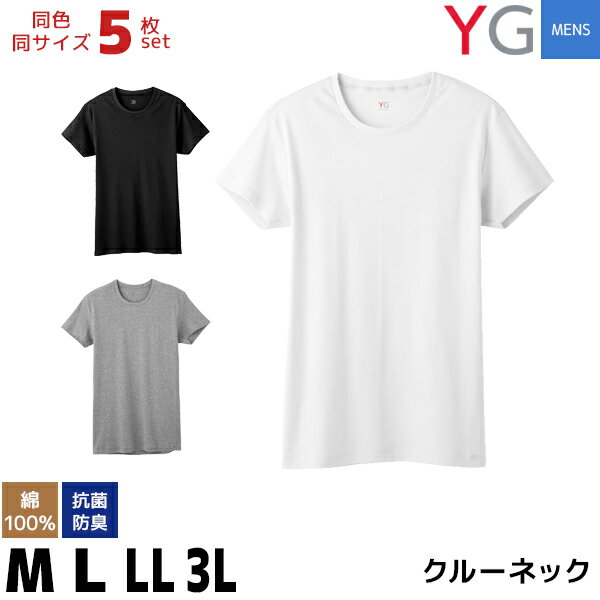 送料無料5枚セット YG ワイジー COTTON 綿100% クルーネックTシャツ Mサイズ Lサイズ LLサイズ 3L グンゼ GUNZE | メンズ インナー 肌着 男性下着 半袖 メンズインナー 無地 丸首 メンズ肌着 紳士肌着 インナーシャツ tシャツ アンダーシャツ コットン アンダーウェア 春夏