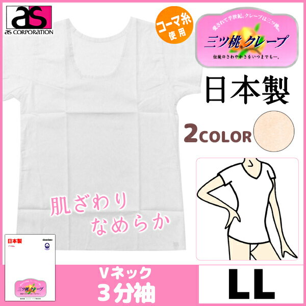 【11/25限定★最大300%ポイントバック!要エントリー】アズ 50%OFF シャツ トップス カットソー レディース 女性用 旅行 吸湿発熱 長時間快適 抗...