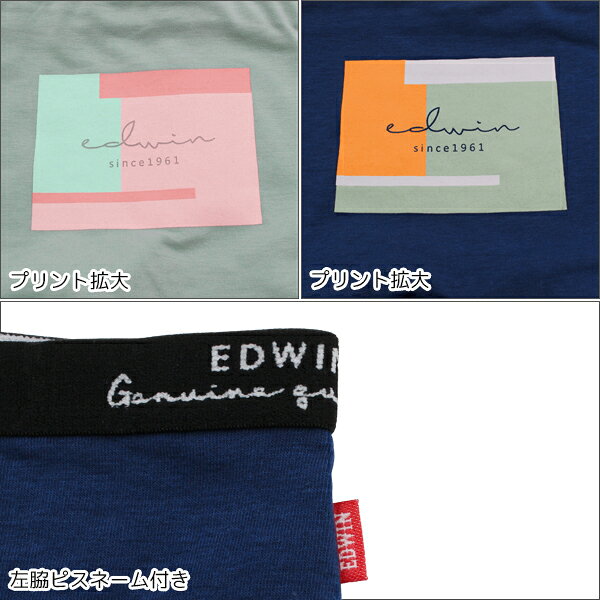 ��Ź�����ʥݥ����10�ܡۥ��� as EDWIN ���ɥ����� 1ʬ�� ���硼�� 7�祻�å� Ʊ�� ����̵�� ��ǥ����� �ܥ������ѥ�� �ѥ�� ���� ����� �⹻��