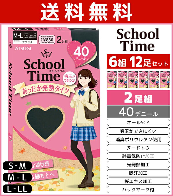 送料無料6組セット 計12足 School time スクールタイム 40デニール スクールタイツ 2足組 アツギ ATSUGI レディース 女性 タイツ スクール通学 通学用 女の子 小学生 中学生 高校生 キッズ 子供 学生 学生用 暖かい 発熱タイツ あったか 防寒 黒 黒タイツ ジュニア 女子