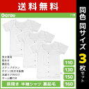 同色3枚セット 男女兼用 前開き 半袖シャツ 裏起毛 白 Tシャツ 介護肌着 男の子 女の子 子供 ガロー Garau | 肌着 前あき 子ども 介護下着 シャ...