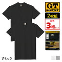 送料無料3組セット 計6枚 G.T.HAWKINS ホーキンス Vネック Tシャツ 2枚組 メンズ 男性 グンゼ GUNZE | まとめ買い tシャツ インナー 半袖 旦那 夫 綿シャツ 肌着 綿100% カットソー シャツ v首 紳士肌着 白 黒 グレー インナーシャツ ティーシャツ 下着 メンズ肌着 男性肌着(4)