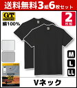 送料無料3組セット 計6枚 G.T.HAWKINS ホーキンス VネックTシャツ 2枚組 グンゼ GUNZE メンズ インナー インナーシャツ 下着 セット 肌着 半袖 男性下着 メンズ肌着 tシャツ vネック アンダーウェア メンズインナー メンズインナーシャツ シャツ 紳士肌着 男性用下着