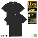 G.T.HAWKINS ホーキンス Vネック Tシャツ 2枚組 メンズ 男性 グンゼ GUNZE | tシャツ インナー 半袖 旦那 夫 綿シャツ 肌着 綿100% カットソー シャツ v首 紳士肌着 白 黒 グレー インナーシャツ ティーシャツ 下着 ビジネス メンズ肌着 男性肌着 綿 コットン 紳士(4)