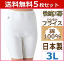 送料無料5枚セット 快適工房 5分パンティ 3Lサイズ 日本製 グンゼ GUNZE パンツ 通販 | レディース レディス 婦人 女性