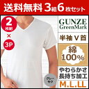 送料無料3組セット 計6枚 GreenMark 半袖V首Tシ...