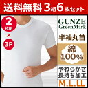 送料無料3組セット 計6枚 GreenMark 半袖丸首Tシャツ 2枚組 Mサイズ Lサイズ LLサイズ グンゼ GUNZE 通販 グンゼ GUNZE | グンゼ GUNZE グンゼ GUNZE グンゼ