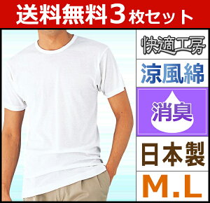 送料無料3枚セット 快適工房 涼風綿 半袖丸首Tシャツ Mサイズ Lサイズ グンゼ GUNZE 日本製 | 綿100% インナー メンズ インナーシャツ 肌着 メンズインナーシャツ メンズ肌着 シャツ 紳士 メンズインナー 半袖 紳士肌着 半袖インナー 涼しい 男性 セット 夏 暑さ対策 消臭