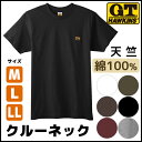 G.T.HAWKINS ホーキンス Tシャツ テイストキュート 目的見せてもOK こだわりコットン グンゼ GUNZE 通販 グンゼ GUNZE