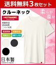 送料無料3枚セット HOTMAGIC ホットマジック クルーネックTシャツ グンゼ GUNZE 日本製 防寒インナー 温感 ヒートテック|あったかグッズ 男性下着 男性肌着 暖かい 冬 メンズ あったかインナー あたたか あったかアイテム 男性用 暖かい肌着 寒さ対策 防寒対策