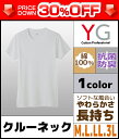 30%OFF YG ワイジー COTTON 綿100% クルーネックTシャツ Mサイズ Lサイズ LLサイズ 3Lサイズ グンゼ GUNZE |インナーウェア インナーウエア アンダーウェア アンダーウエア 大きいサイズ メンズインナー メンズ 紳士 肌着 男性下着 ティーシャツ 訳あり