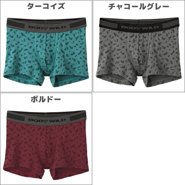 BODYWILD ボディワイルド HOTNISTA ボクサーブリーフ 前とじ グンゼ GUNZE ボクサーパンツ ボディーワイルド BODY WILD 日本製 | 暖かい あったか ブリーフ ボクサー パンツ あったかインナー 男性下着 メンズ下着 紳士肌着 メンズパンツ下着 ボディ ワイルド 下着 ショーツ