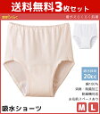 送料無料3枚セット 愛情らくらく 着替えらくらく肌着 介護ウェア ショーツ 失禁パンツ 20cc対応 尿漏れパンツ Mサイズ Lサイズ 介護下着 介護肌着 介護...