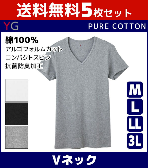 送料無料5枚セット YG ワイジー COTTON 綿100% VネックTシャツ Mサイズ Lサイズ LLサイズ 3Lサイズ グンゼ GUNZE|メンズ インナーシャツ 下着 肌着 大きいサイズ 男性下着 メンズ肌着 tシャツ アンダーウェア インナー シャツ 紳士肌着 半袖 アンダーシャツ コットン 春夏 綿