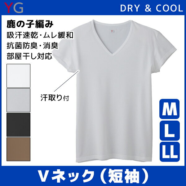 YG ワイジー DRY&COOL ドライ 汗取り付きVネックTシャツ 短袖 Mサイズ Lサイズ グンゼ GUNZE | 涼しい 涼感 下着 インナー メンズ クール 大きいサイズ ひんやり 男性下着 紳士 クールインナー 吸汗速乾 夏 男性 メンズインナー 夏用 汗取り 汗とり 汗取りインナー 脇汗対策