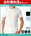 送料無料5枚セット BODYDRY ボディドライ クルーネックTシャツ 半袖丸首 Mサイズ Lサイズ LLサイズ グンゼ GUNZE | メンズ 紳士 男性 肌着 紳士肌着 男性下着 インナー インナーシャツ メンズインナーシャツ アンダーウェア アンダーウエア アンダーシャツ メンズ下着