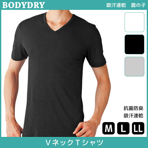 BODYDRY {fBhC VlbNTVc V MTCY LTCY LLTCY O[ GUNZE|Y am j  am j Ci[ Ci[Vc YCi[Vc A_[EFA A_[EGA A_[Vc Y Y  eB[Vc 