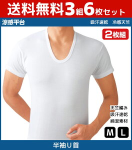 送料無料3組セット 計6枚 シーズン涼感平台 吸汗速乾 冷感天竺 Uネックtシャツ 半袖u首 2枚組 Mサイズ Lサイズ グンゼ Gunze インナー 半袖 メンズインナー 半袖インナー クール 夏用 涼しい 半袖シャツ インナーシャツ 冷感インナー 冷感 涼感 Uネック 吸汗 下着の 送料無料3組セット 計6枚 シーズン涼感平台 吸汗速乾 冷感天竺 Uネックtシャツ 半袖u首 2枚組 Mサイズ Lサイズ グンゼ Gunze インナー 半袖 メンズインナー 半袖インナー クール 夏用 涼しい 半袖シャツ インナーシャツ 冷感インナー 冷感 涼感 Uネック 吸汗 下着の
