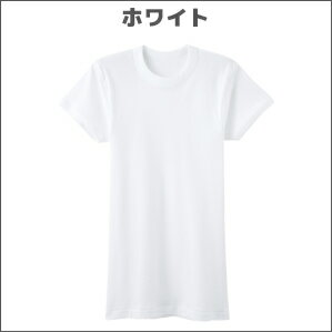 送料無料3組セット 計6枚 GreenMark 半袖丸首Tシャツ 2枚組 Mサイズ Lサイズ LLサイズ グンゼ GUNZE|まとめ買い メンズ インナー 半袖 メンズ肌着 肌着 肌着男性 紳士肌着 男性 メンズインナー アンダーウェア アンダーシャツ 半袖インナー インナーシャツ 夏 ティーシャツ