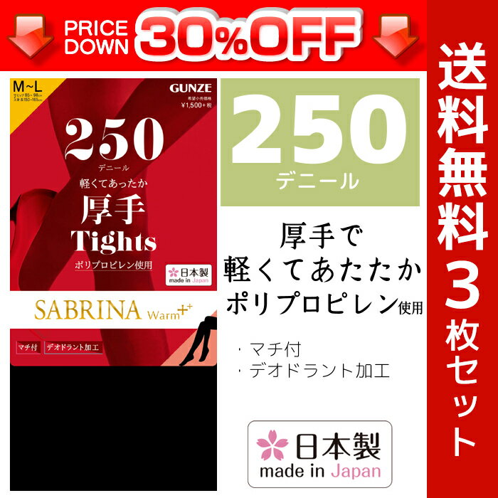 30%OFF 送料無料3枚セット SABRINA サブリナ 250デニールポリプロピレンタイツ 日本製 防寒 温感 グンゼ GUNZE まとめ買い|暖かい レディースタイツ タイツ レディース 黒 冷房対策 デニール 冬用 冷え対策グッズ セット あったかグッズ インナータイツ あったかインナー 冬