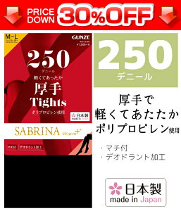 30%OFF SABRINA サブリナ 250デニールポリプロピレンタイツ 日本製 防寒 温感|厚手 あったか 暖かい レディースタイツ 250デニール レディース ブラック 黒タイツ グンゼ GUNZE モテ下着 デニール ストッキング 黒ストッキング タイツ レディス あったかグッズ 訳あり