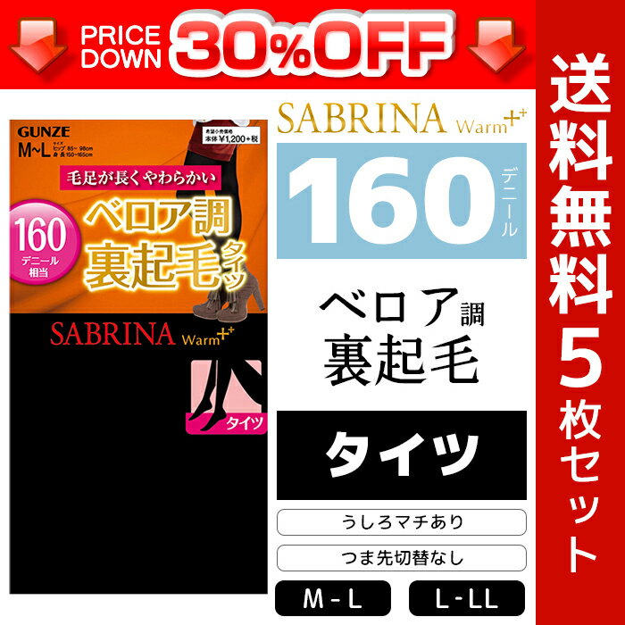 30%OFF 送料無料5枚セット SABRINA サブリナ ウォームプラス 毛足が長くやわらかい ベロア調裏起毛160デニールタイツ グンゼ GUNZE まとめ買い|暖かい レディースタイツ 黒タイツ タイツ レディース 黒 セット 防寒 あったかグッズ インナータイツ あったかインナー 冬 冬用