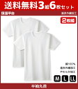 送料無料3組セット 計6枚 保温平台 遠赤外線加工 クルーネックTシャツ 半袖丸首 2枚組 グンゼ GUNZE 綿100% 防寒インナー 温感 | メンズ 男性 紳士 丸首 丸首シャツ 半袖 半袖Tシャツ 半袖インナー あったかグッズ 冬 あったかインナー クルーネック シャツ インナー暖かい(4)