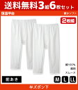 送料無料3組セット 計6枚 保温平台 暖かソフト 半ズボン下 前あき ステテコ すててこ 2枚組 グンゼ GUNZE 綿100% 防寒インナー 温感|メンズ 男性 紳士 ズボン下 ずぼん下 あったかグッズ 冬 あったかインナー インナー 肌着 暖かい 白 あったか 寒さ対策 秋冬 防寒 ももひき