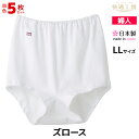 送料無料5枚セット 快適工房 ズロース LLサイズ 日本製 グンゼ GUNZE | レディース 婦人 女性 インナー パンティ パンティー ショーツ レディース...
