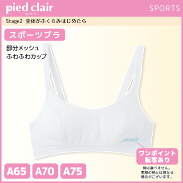 ジュニアレディース pied clair ピエクレール Stage2 全体がふくらみはじめたら スポーツブラ ハーフトップ カップ付き グンゼ GUNZE 子供下着 スポーツブラジャー | ブラジャー ブラ スポーツ スポブラ ジュニア 子供 キッズ ガールズインナー