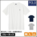 【クーポン10%OFF】POLO ポロ クルーネックTシャツ 半袖 グンゼ GUNZE | メンズ 紳士 男性 インナー シャツ メンズインナー 下着 クルーネ...
