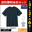 【クーポン10%OFF】3色2枚ずつ 送料無料6枚セット POLO ポロ VネックTシャツ 半袖 グンゼ GUNZE | メンズ 紳士 男性 インナー シャツ ...