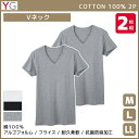 【クーポン10%OFF】YG ワイジー VネックTシャツ 半袖V首 2枚組 グンゼ GUNZE | メンズ 紳士 男性 肌着 下着 男性肌着 インナー インナー...