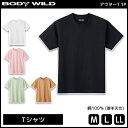 【クーポン10%OFF】BODYWILD ボディワイルド ヘビーウェイトTシャツ クルーネック グンゼ GUNZE ボディーワイルド BODY WILD 綿10...