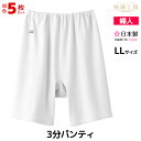 送料無料5枚セット 快適工房 3分パンティ LLサイズ 日本製 グンゼ GUNZE パンツ | レディース 婦人 女性 パンティ パンティー 3分丈 三分丈 下...