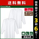 【25日限定エントリーで最大100%ポイントバック】送料無料 同色3組セット 計6枚 GreenMark 長袖丸首 2枚組 Tシャツ 綿100% 肌着 グンゼ GUNZE | メンズ 男性 インナーシャツ クルーネック 長袖 長袖tシャツ 長袖インナー アンダーシャツ 丸首インナー 丸首 シャツ メンズイ(4)