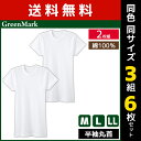 【11日までエントリーで最大100%ポイントバック】送料無料 同色3組セット 計6枚 GreenMark 半袖丸首 2枚組 Tシャツ 綿100% 肌着 グンゼ GUNZE | メンズ 男性 インナーシャツ クルーネック 半袖 半袖tシャツ 半袖インナー メンズインナーシャツ アンダーシャツ 丸首インナー(4)