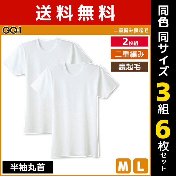 送料無料 同色3組セット 計6枚 GQ-1 二重編み裏起毛 半袖丸首 Tシャツ 2枚組 肌着 グンゼ GUNZE | メンズ 男性 インナーシャツ クルーネック 半袖 半袖インナー アンダーシャツ 丸首インナー 丸首 シャツ メンズインナー インナー 裏起毛 暖か 温か あたたか 防寒インナー 1