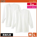 GQ-1 ニットキルト 長袖丸首 Tシャツ 2枚組 肌着 グンゼ GUNZE | メンズ 男性 インナーシャツ クルーネック 長袖 長袖インナー アンダーシャツ 丸首インナー 丸首 シャツ メンズインナー インナーtシャツ メンズシャツ 暖か 温か あたたか 防寒インナー キルト 冬インナー