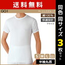 送料無料 同色3枚セット GQ-1 ベーシック 半袖丸首 Tシャツ 肌着 綿100% グンゼ GUNZE | メンズ 男性 紳士 インナーシャツ クルーネック 半袖 半袖tシャツ 半袖インナー アンダーシャツ 丸首インナー 丸首 シャツ メンズインナー インナーtシャツ 下着 インナー メンズシャツ
