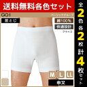 【クーポン10%OFF】2色2枚ずつ 送料無料4枚セット GQ-1 ベーシック 申又 前とじ 肌着 綿100% グンゼ GUNZE | メンズ 男性 下着 パン...