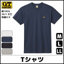 G.T.HAWKINS ホーキンス Tシャツ 綿100% グンゼ GUNZE | メンズ 男性 紳士 tシャツ インナー 半袖 半袖シャツ シャツ 半袖tシャツ クルーネック 丸首 メンズシャツ メンズインナー 丸首インナー メンズtシャツ 肌着 メンズ肌着 メンズインナーシャツ インナーウェア 男性肌着
