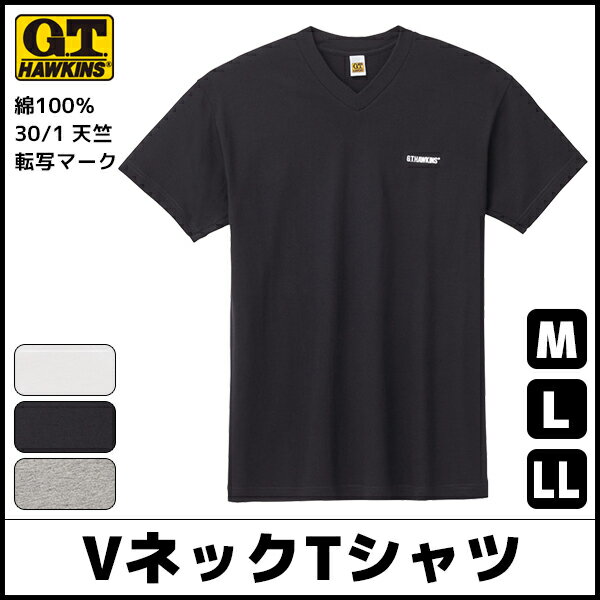 G.T.HAWKINS ホーキンス VネックTシャツ