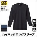 【クーポン10%OFF】G.T.HAWKINS ホーキンス 裏起毛 ハイネックロングスリーブシャツ グンゼ GUNZE | メンズ 男性 tシャツ インナー 長...