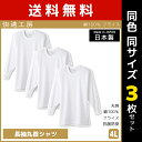 送料無料 同色3枚セット 快適工房 長袖丸首シャツ 4Lサイズ 日本製 インナー 肌着 グンゼ GUNZE | 男性 紳士 メンズ 男性肌着 大きいサイズ ゆったり tシャツ インナーシャツ 長袖 長袖インナー クルーネック 無地 丸首 4l 大きい 大きめ コットン 白 カットソー ロンt 綿(4)