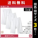 送料無料 同色3枚セット 快適工房 五分パンティ 3Lサイズ 大きいサイズ 綿100% 日本製 グンゼ GUNZE | 女性 レディース レディス 婦人 女性用 下着 ペチパンツ ペチコート ズボン下 ステテコ パッチ ニーレングス すててこ ひざ上 膝上 介護 老人 ホームウエア 入院 リハビリ
