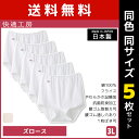 送料無料 同色5枚セット 快適工房 ズロース 3Lサイズ 大きいサイズ 綿100 日本製 グンゼ GUNZE 女性 レディース レディス 婦人 女性用 インナー 下着 肌着 パンティ ショーツ パンツ 小さいサイズ 大きいサイズ ブルマ ドロワーズ シニア パンティー ペチパンツ 介護 老人