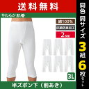 送料無料 同色3組セット 計6枚 やわらか肌着 半ズボン下 前あき 2枚組 3Lサイズ すててこ ズボン下 グンゼ GUNZE | 男性 紳士 メンズ 下着 肌着 ステテコ ずぼん下 ももひき 股引 パッチ タイツ スパッツ 前開き 大きいサイズ アンダーウェア ボトムス 男性下着 紳士下着