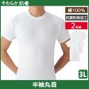 やわらか肌着 半袖丸首シャツ 2枚組 3Lサイズ クルーネック Tシャツ グンゼ GUNZE | メンズ 男性 紳士 インナーシャツ クルーネック 3l 半袖 半袖tシャツ 半袖インナー 紳士肌着 メンズインナーシャツ アンダーシャツ 大きいサイズ 丸首 シャツ メンズインナー 下着 肌着