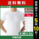 送料無料 同色5組セット 計10枚 やわらか肌着 半袖丸首シャツ 2枚組 クルーネック Tシャツ グンゼ GUNZE | メンズ 男性 紳士 インナーシャツ クルーネック 半袖 半袖tシャツ 半袖インナー 紳士肌着 メンズインナーシャツ アンダーシャツ 大きいサイズ 小さいサイズ 丸首 肌着